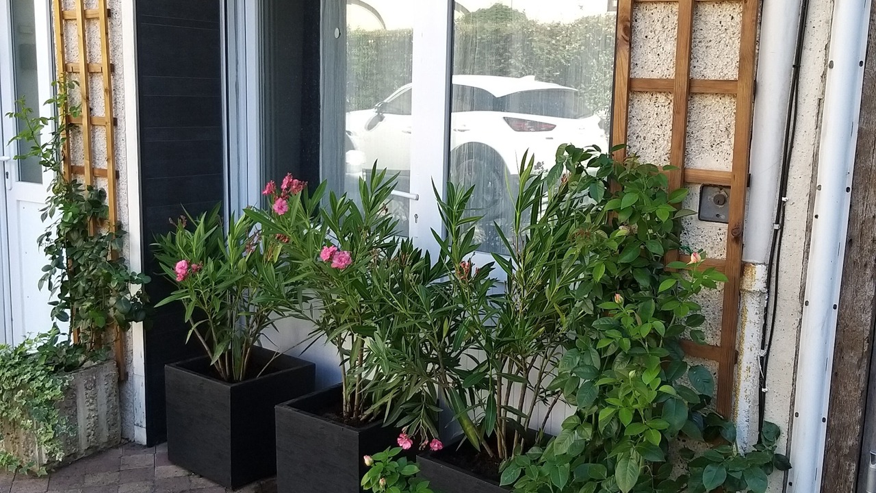 Photo of Outdoor in Agen