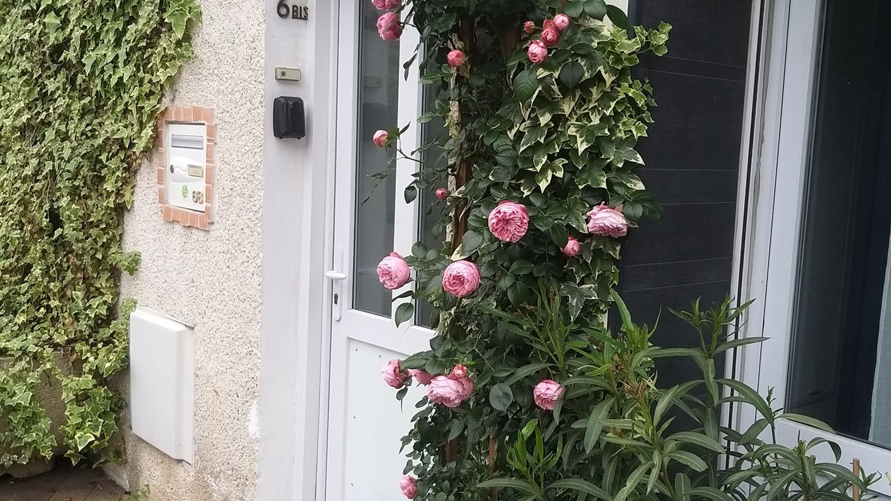 Photo of Outdoor in Agen