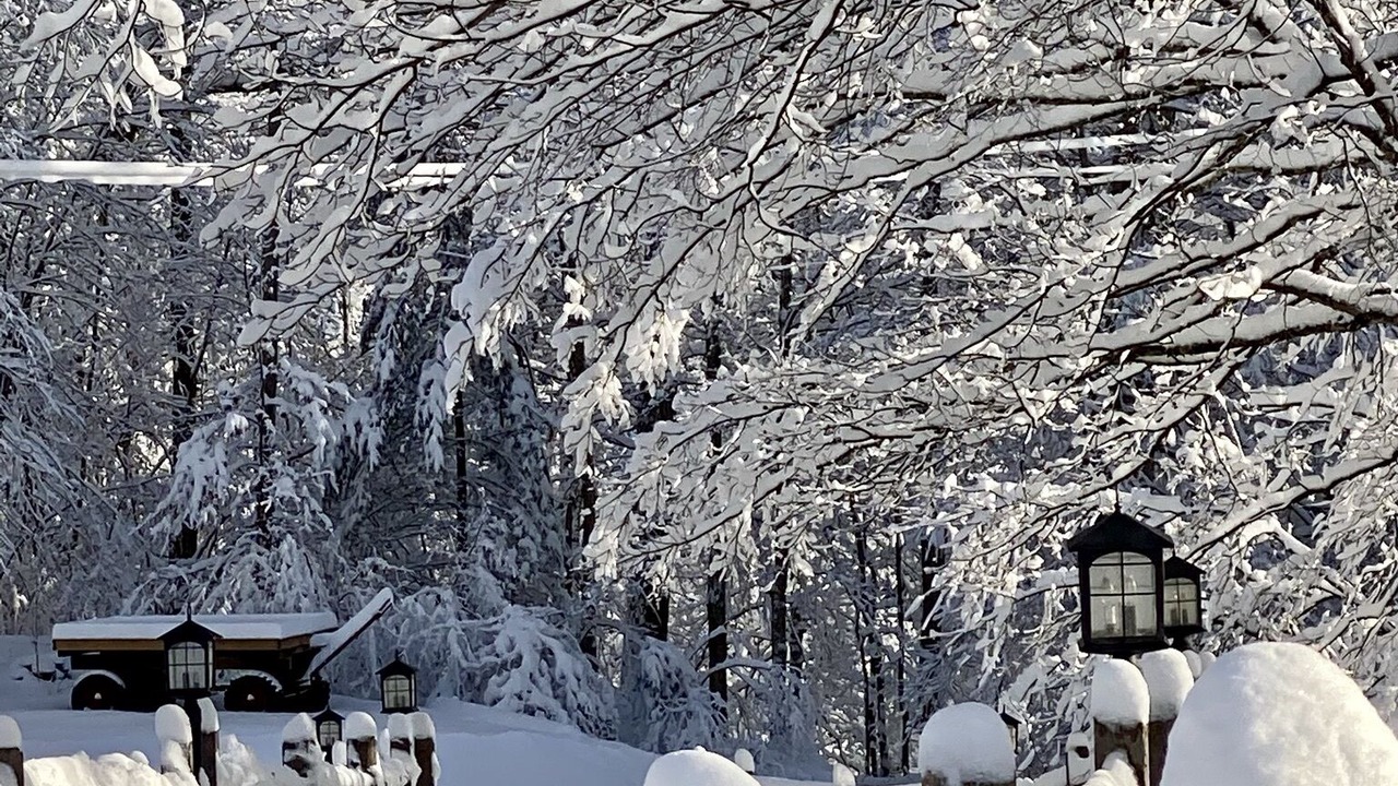 Photo of Outdoor in Johnsonville