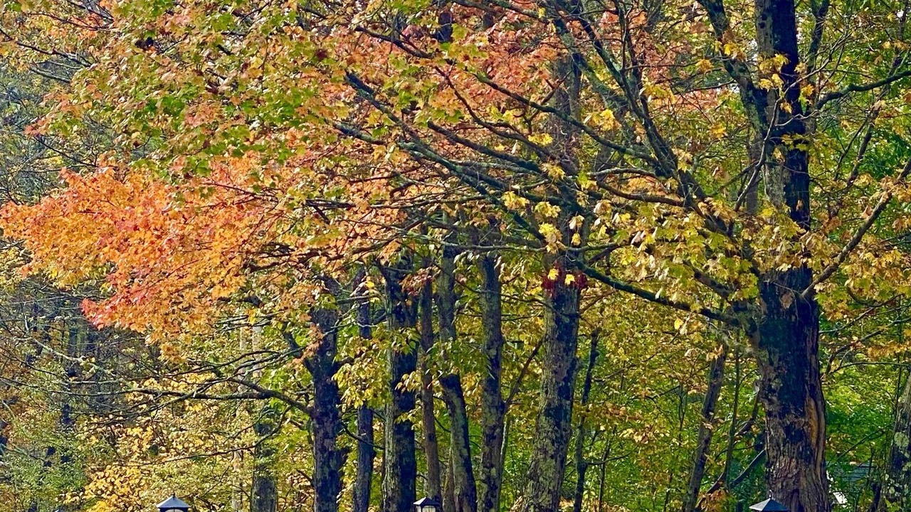 Photo of Outdoor in Johnsonville