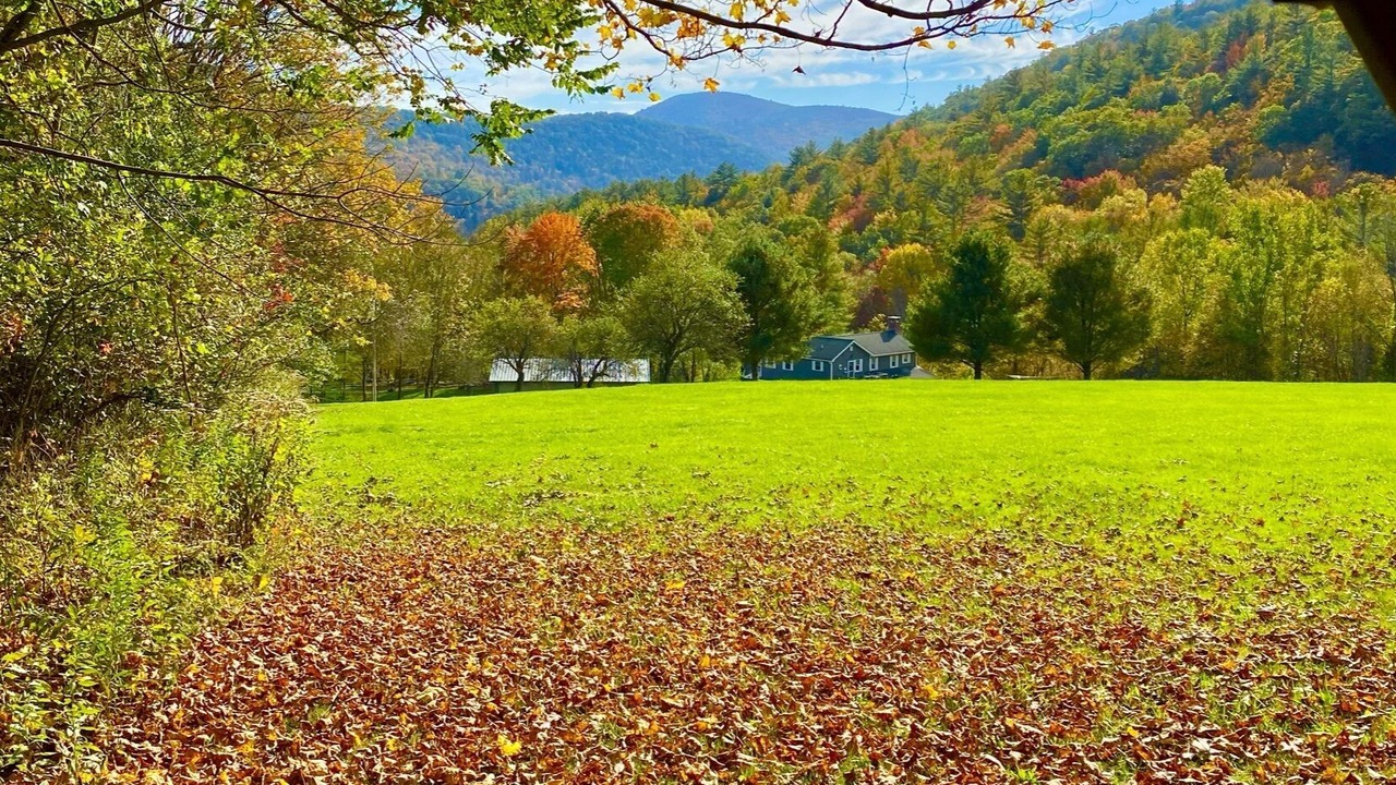 Photo of Outdoor in Johnsonville