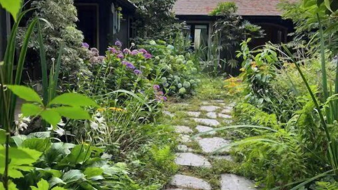 Photo of Outdoor in Walterville