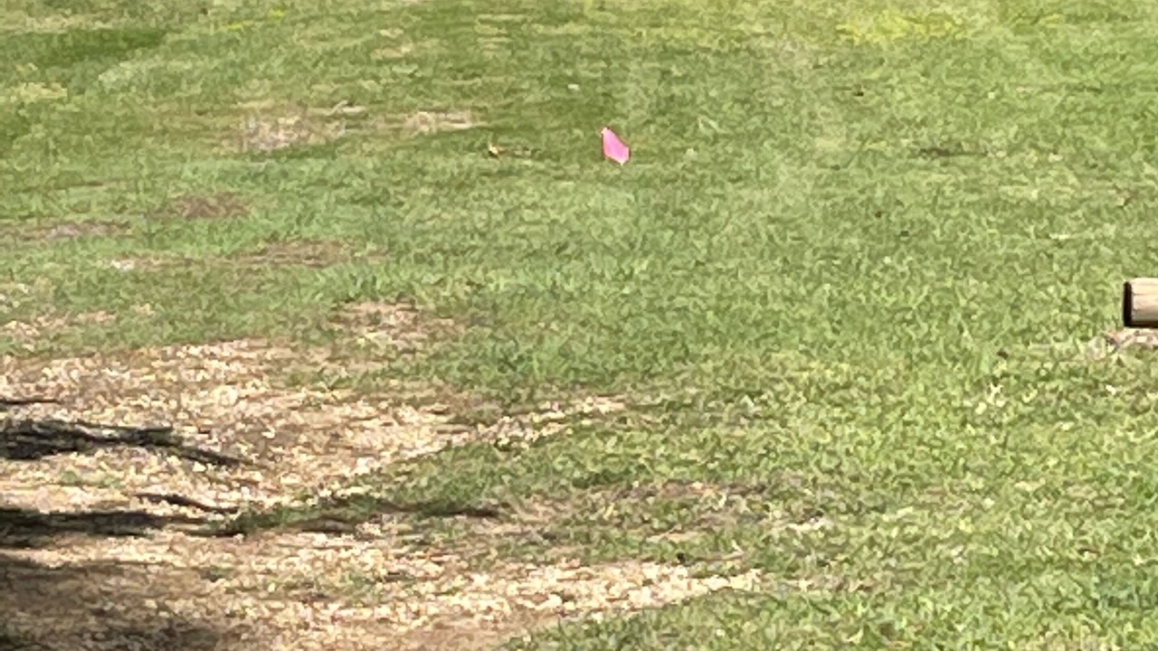 Photo of Outdoor in Negreet