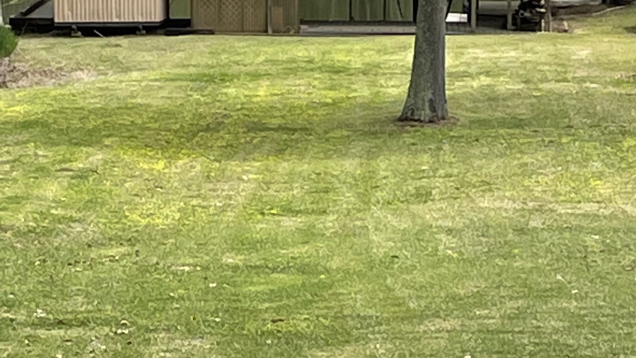 Photo of Outdoor in Negreet