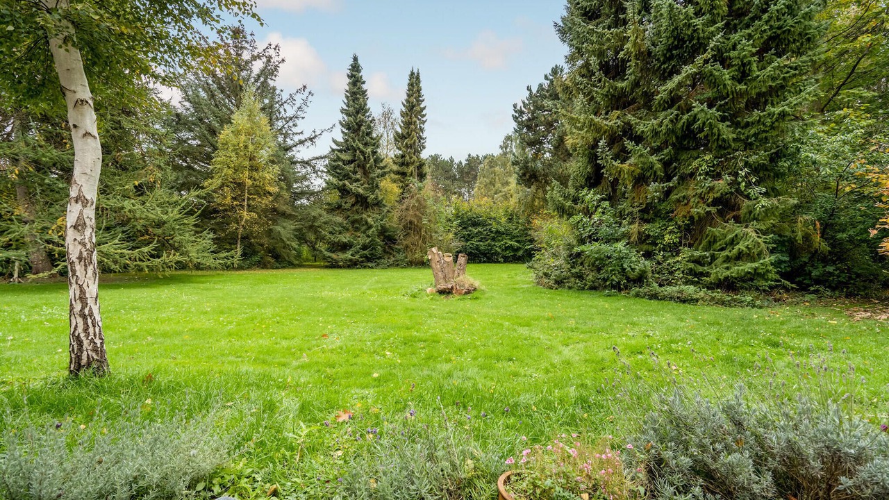 Photo of Others in Hoensinge