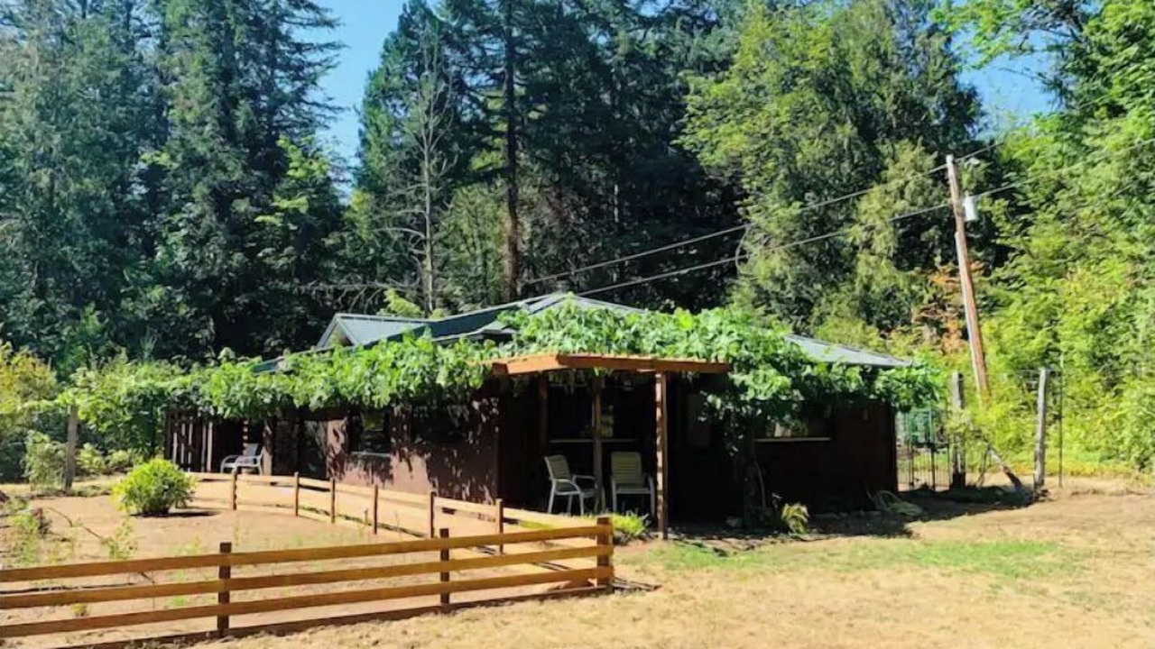 Photo of Outdoor in Blue River