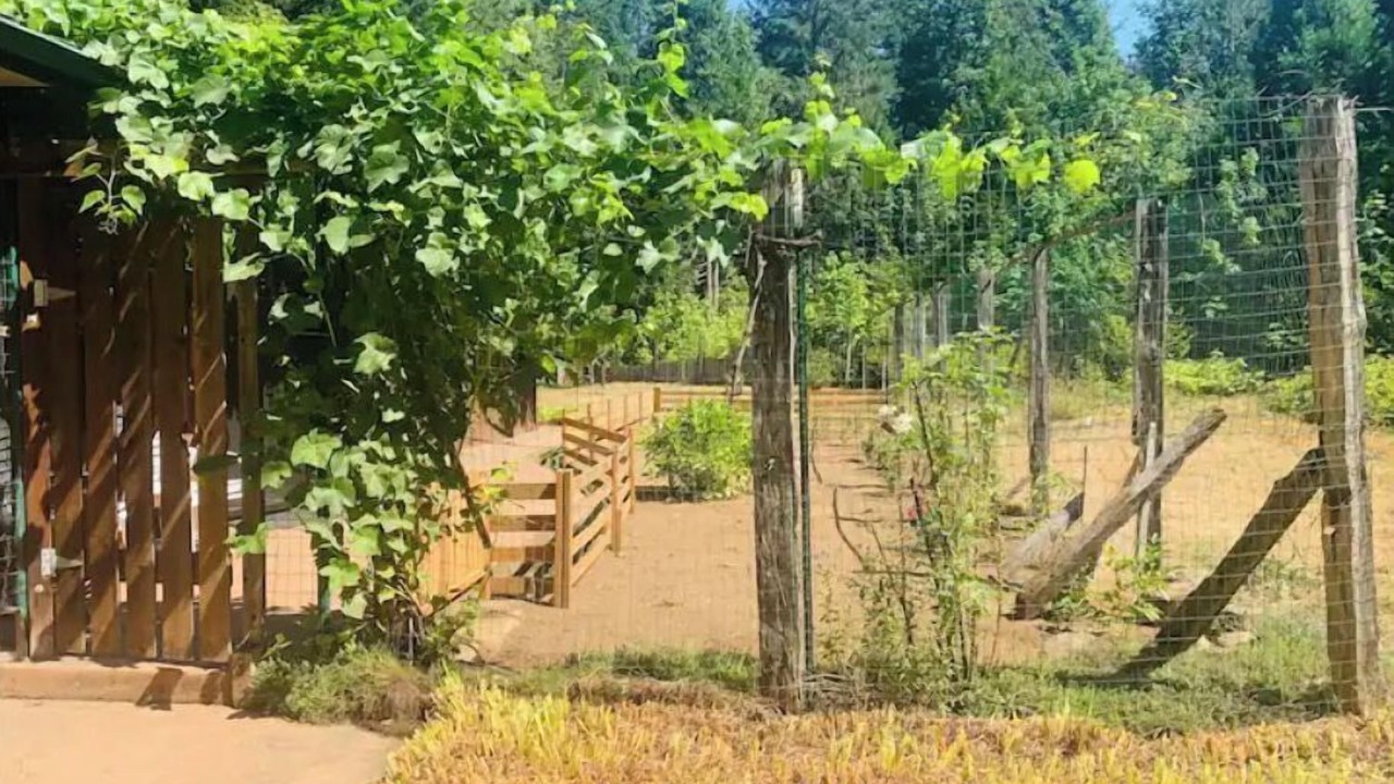 Photo of Outdoor in Blue River