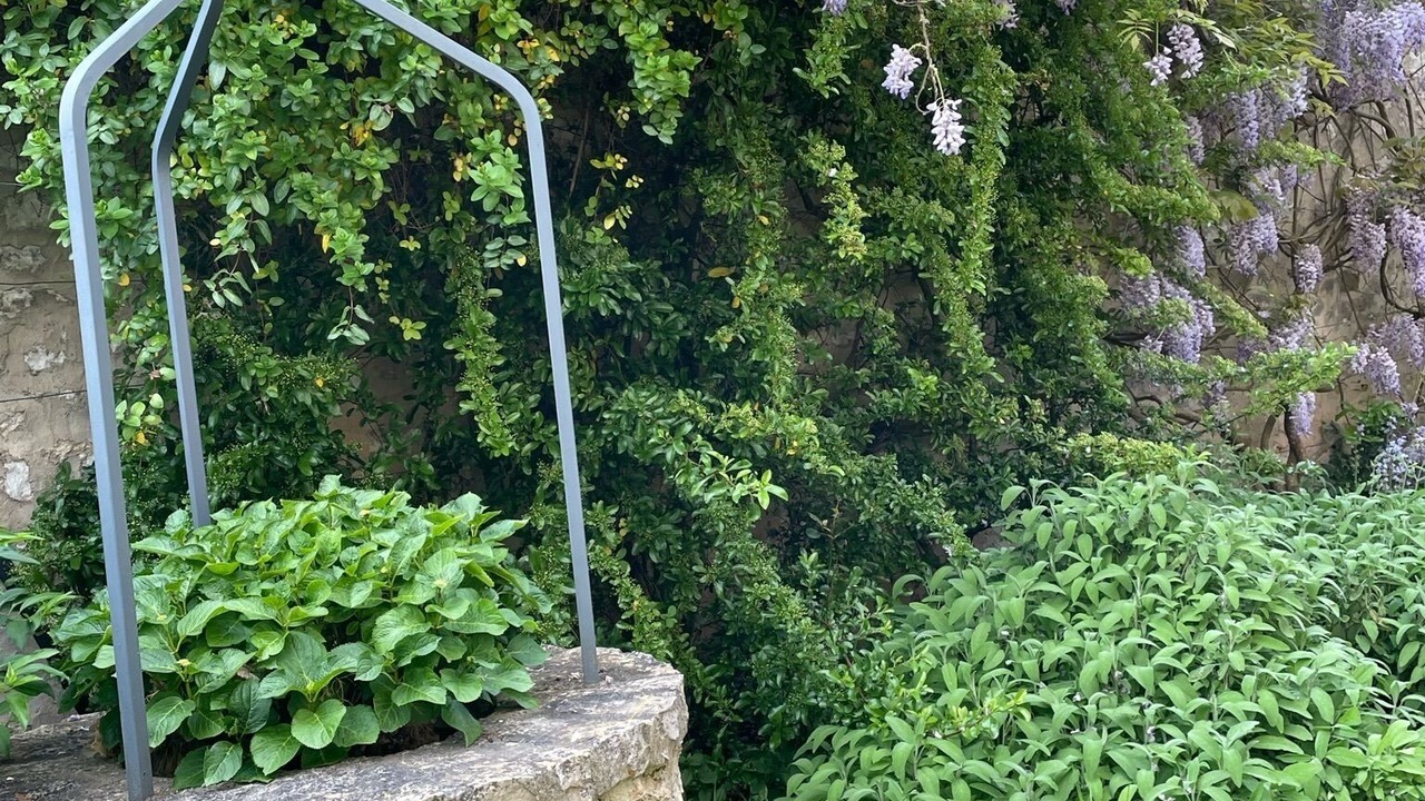 Photo of Outdoor in Samois-sur-Seine