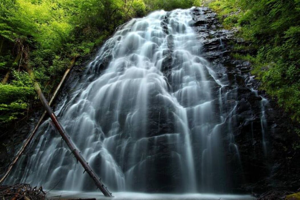Photo of Others in Chestnut Springs