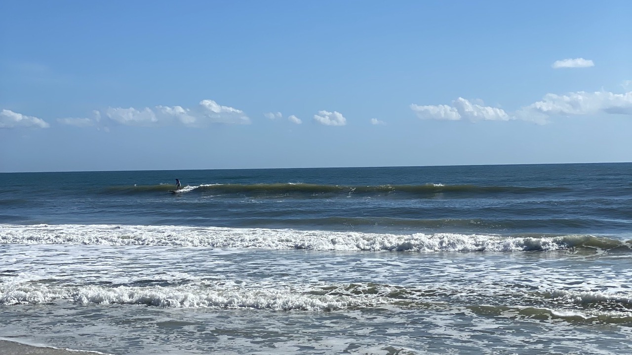 Photo of Others in Marineland Acres