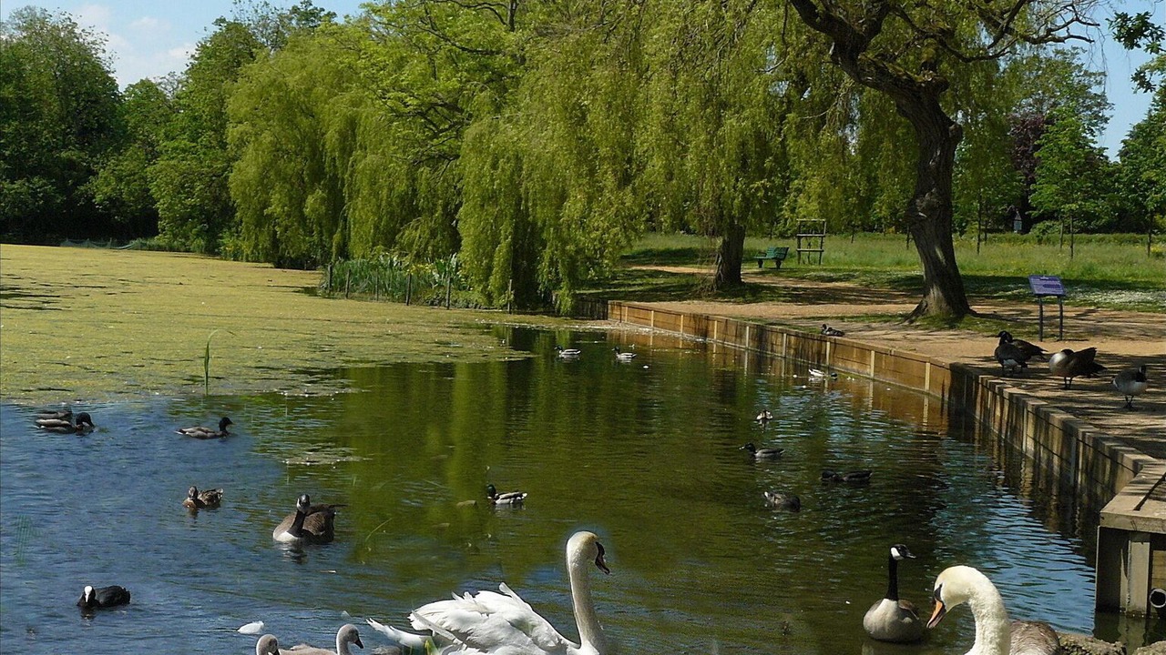 Photo of Others in Reigate