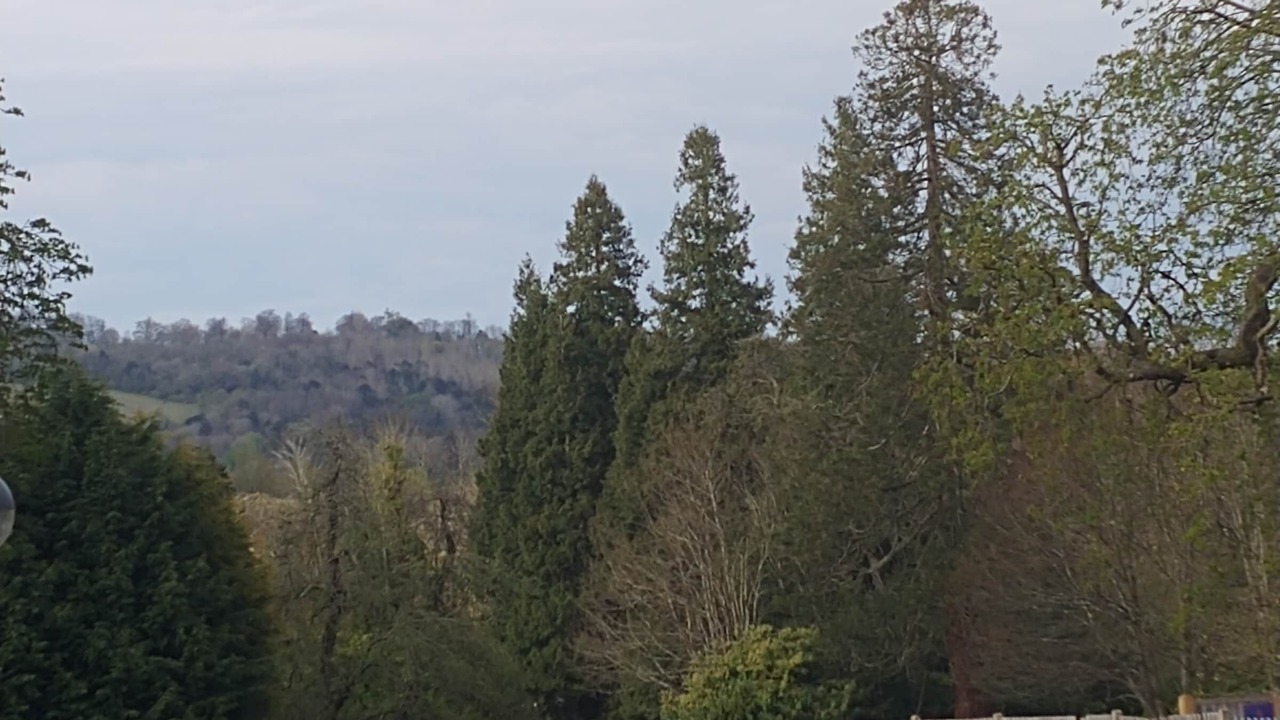 Photo of Others in Reigate