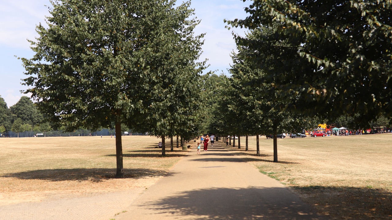 Photo of Others in Reigate