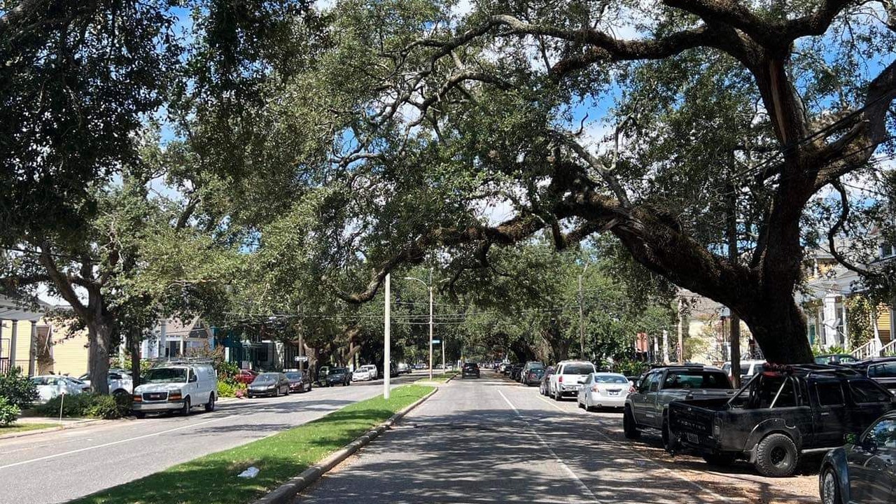 Photo of Outdoor in Mid-City