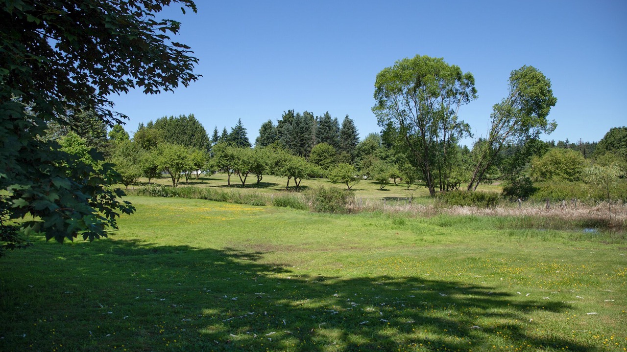 Photo of Others in Northwest Snohomish