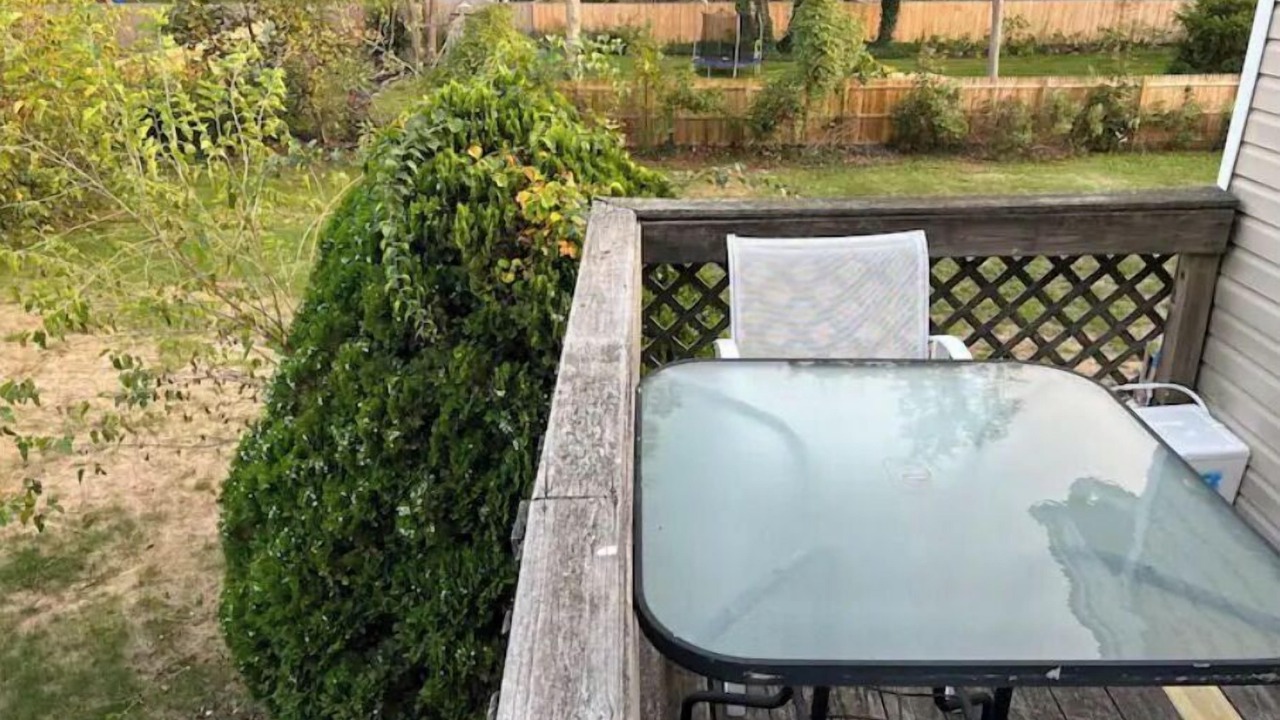 Photo of Outdoor in Islip