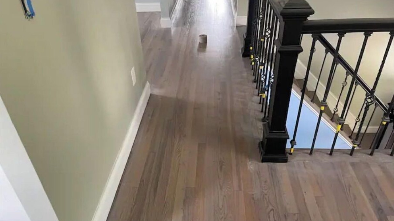 Photo of Others in Islip