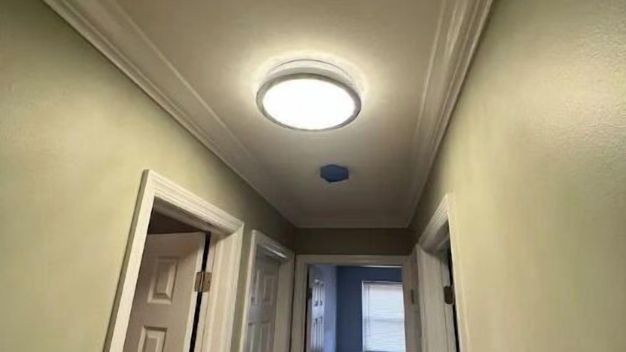 Photo of Others in Islip