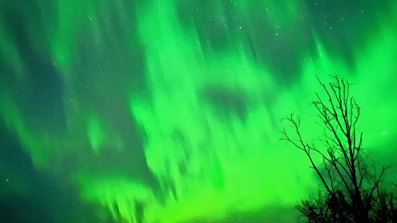 Photo of Others in Chugiak