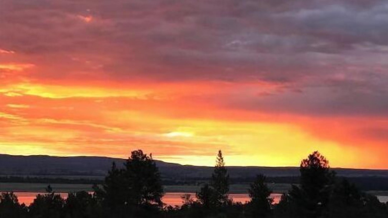 Photo of Others in Pine Haven