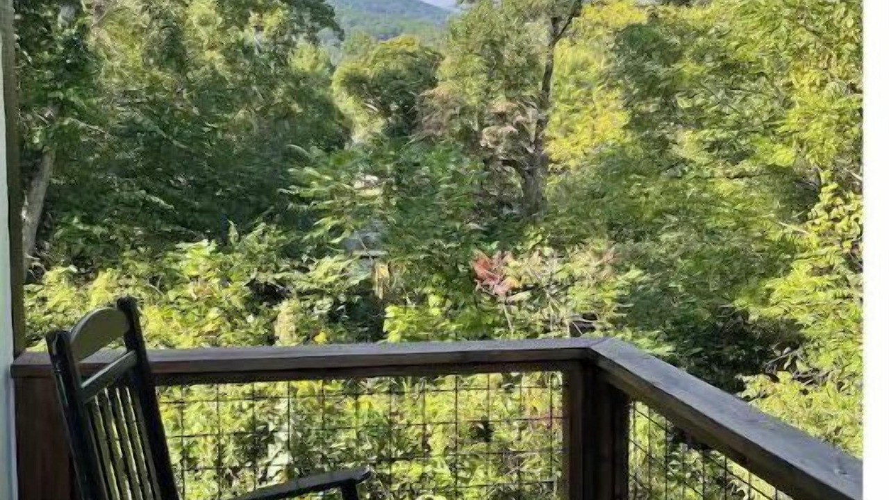 Photo of Outdoor in Swannanoa