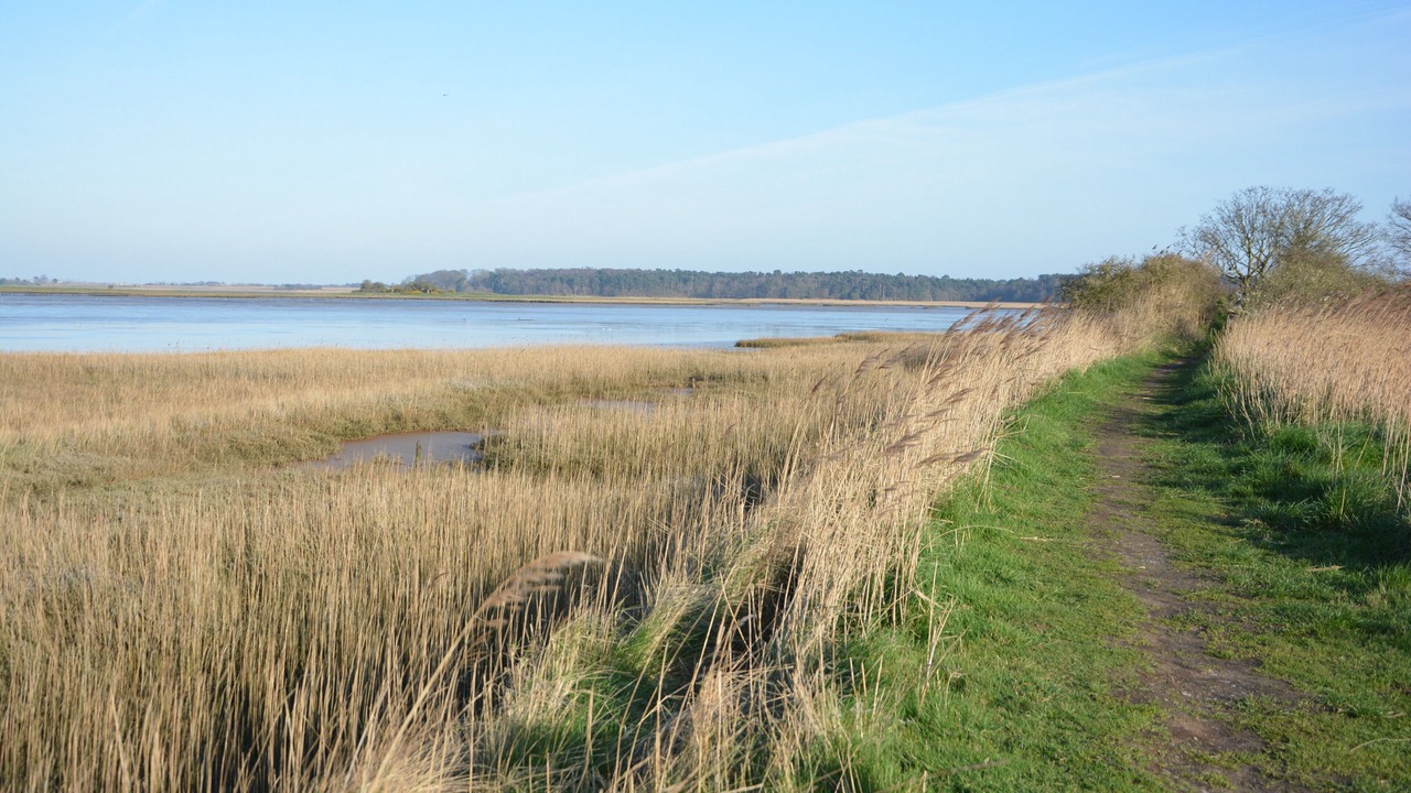 Photo of Others in Blythburgh