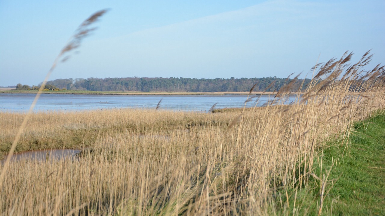 Photo of Others in Blythburgh