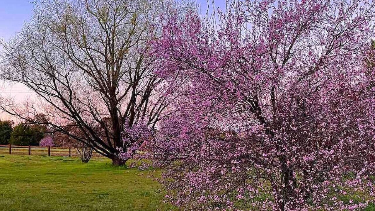 Photo of Others in Robin Hill