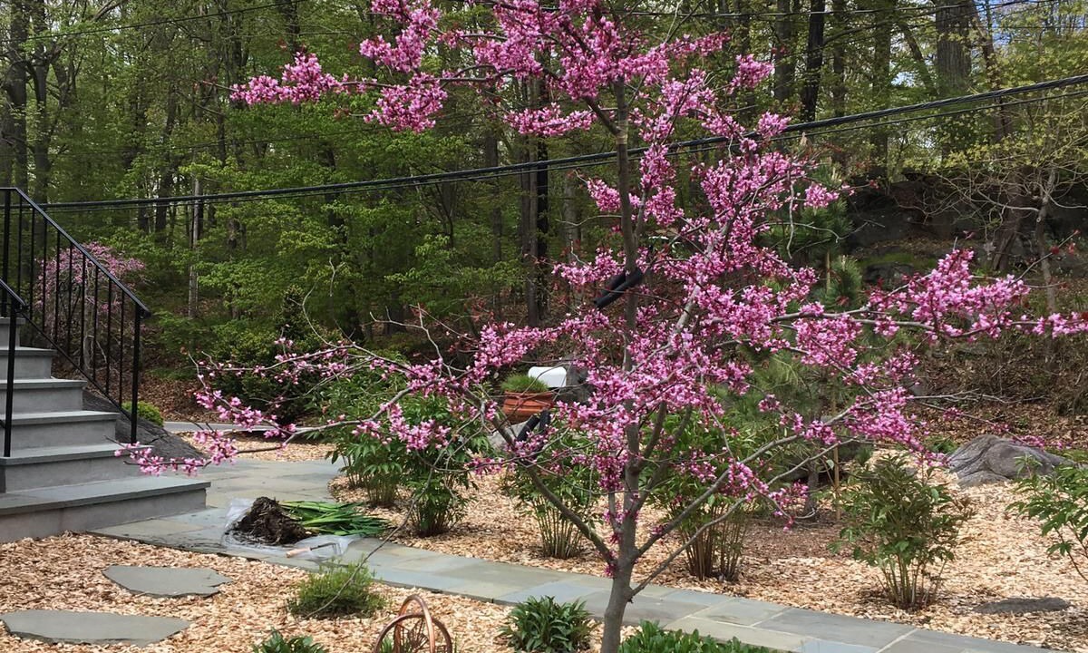 Photo of Outdoor in Croton-on-Hudson