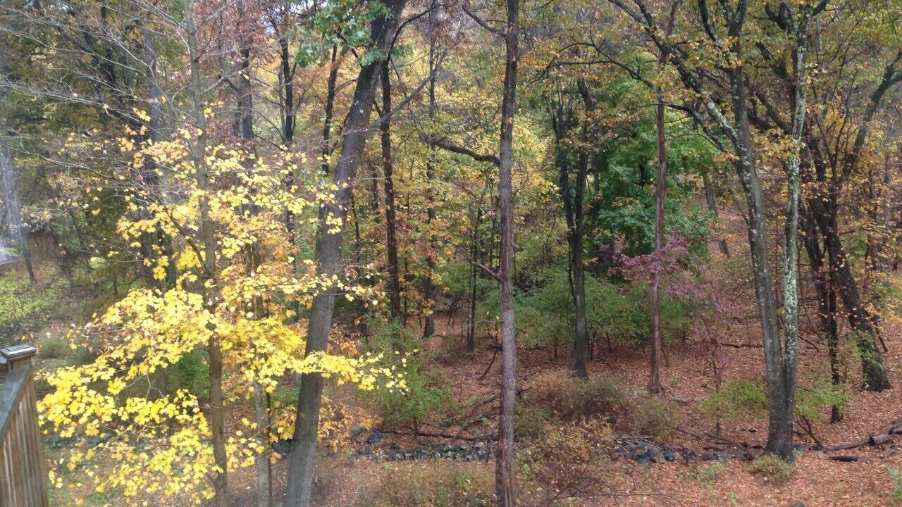 Photo of Outdoor in Croton-on-Hudson