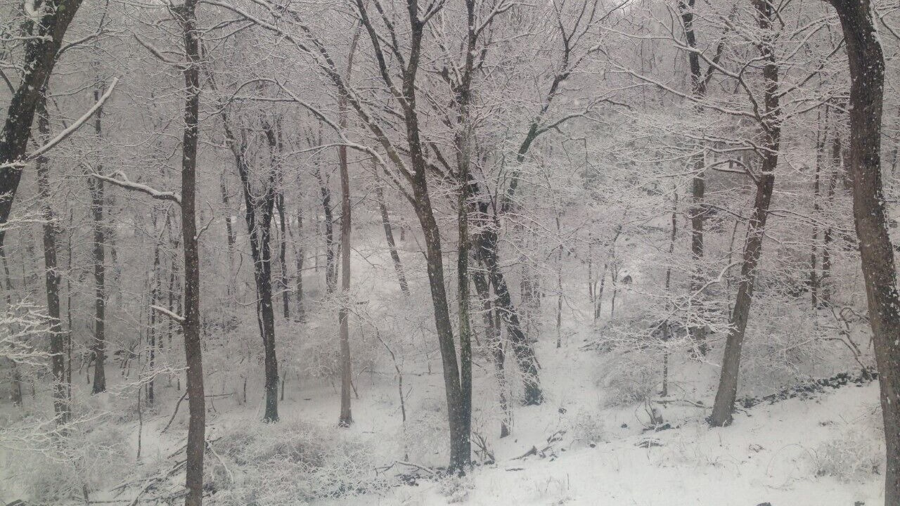 Photo of Others in Croton-on-Hudson