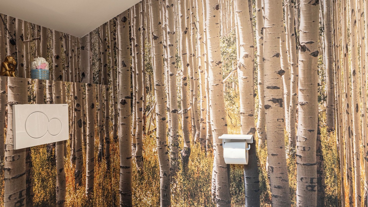 Photo of Bathroom in Montfort-le-Gesnois