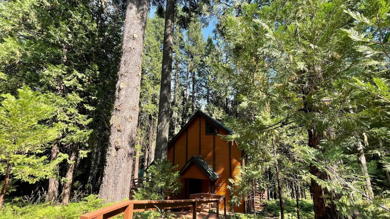 Photo of Outdoor in Fish Camp