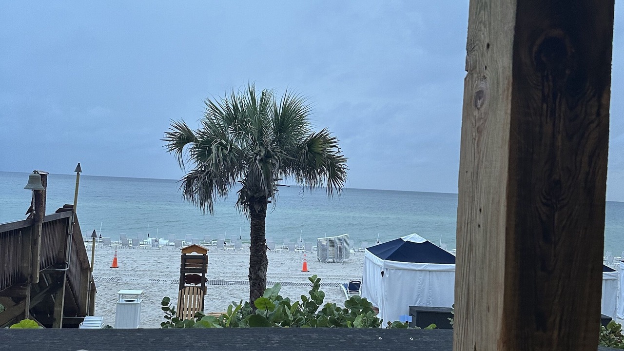 Photo of Outdoor in North Naples