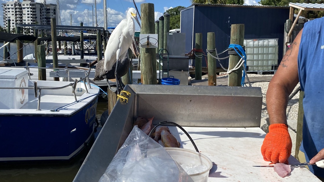 Photo of Outdoor in North Naples