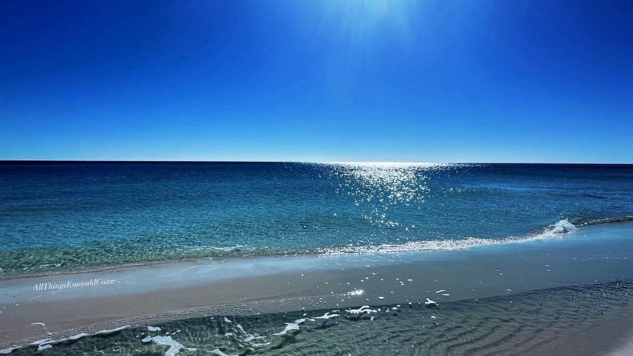 Photo of Others in North Naples