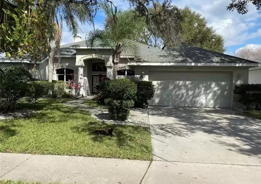 Photo of Outdoor in Valrico