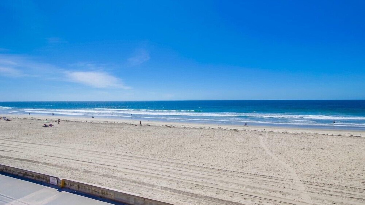Photo of Others in Central Mission Beach