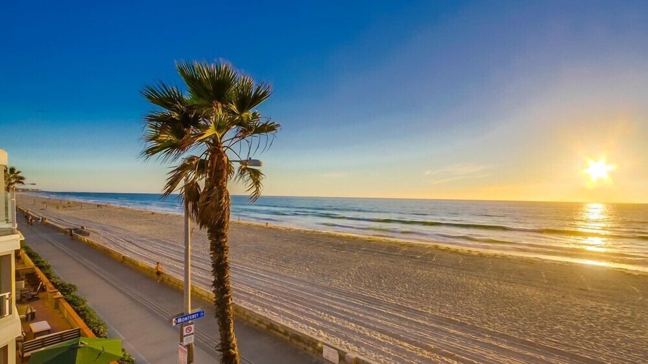 Photo of Others in Central Mission Beach