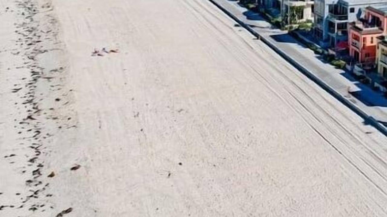 Photo of Others in Central Mission Beach