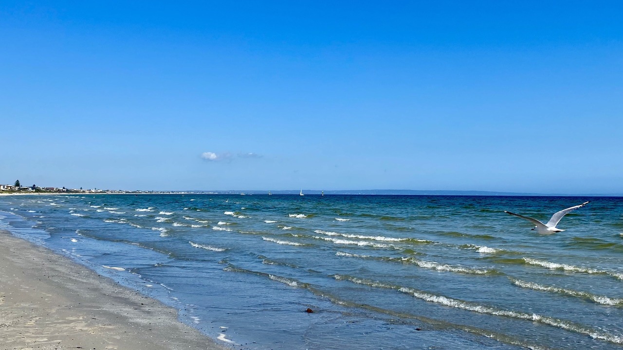 Photo of Others in Mordialloc