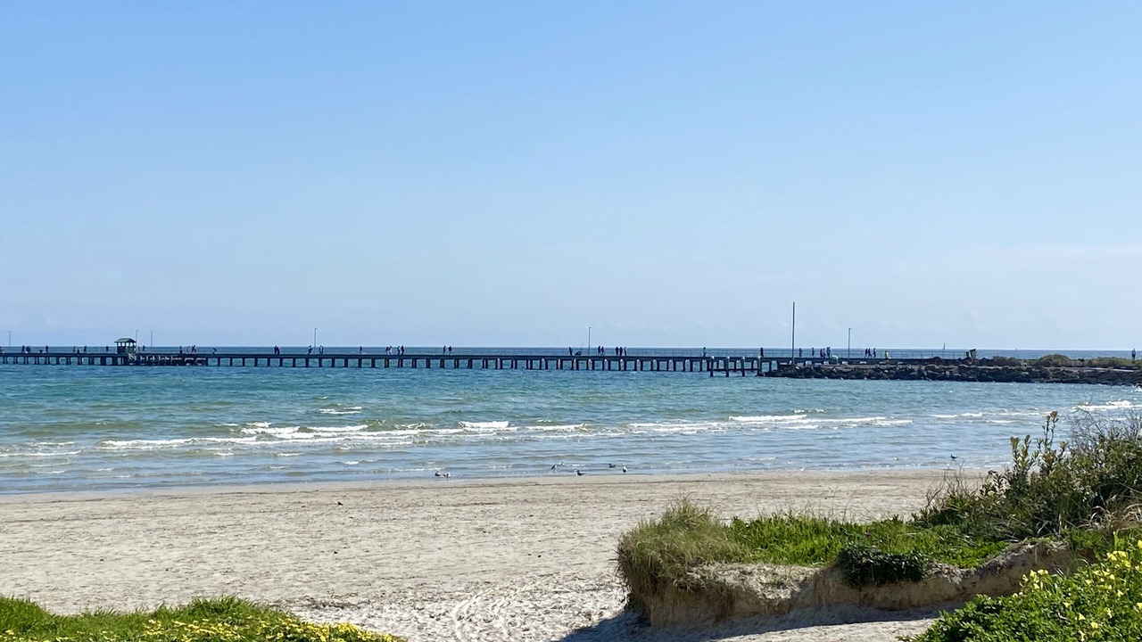 Photo of Others in Mordialloc