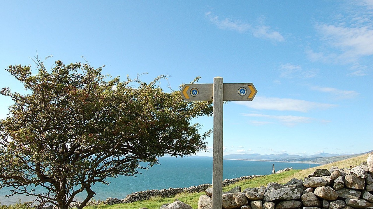 Photo of Others in Dolgellau