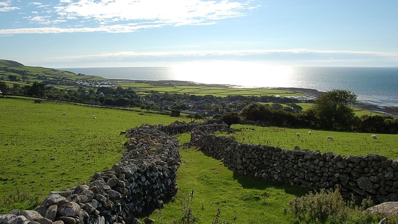 Photo of Others in Dolgellau