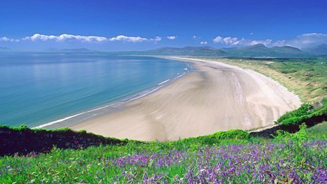 Photo of Others in Dolgellau