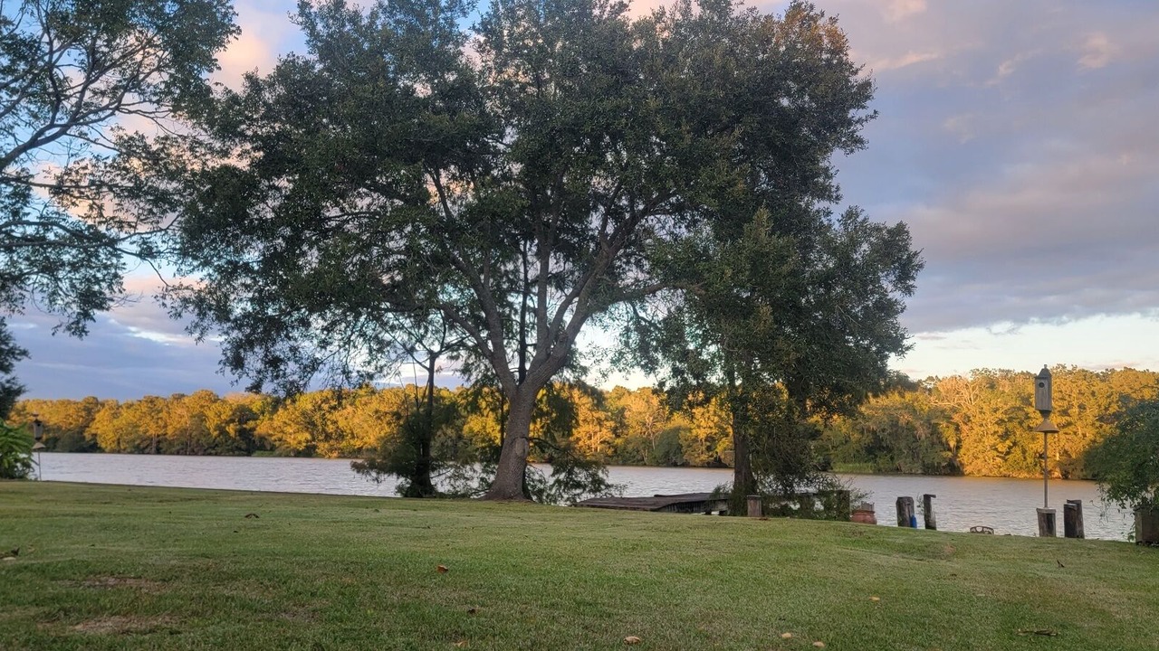 Photo of Outdoor in Patterson