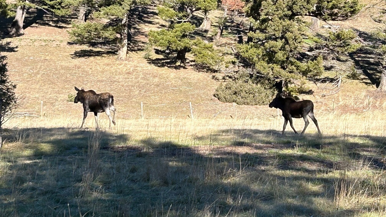 Photo of Others in Canyon Creek
