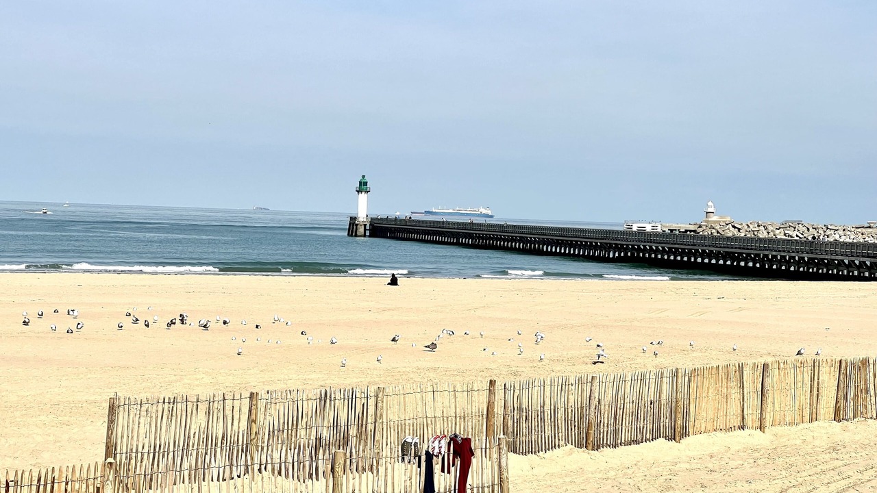 Photo of Others in Calais