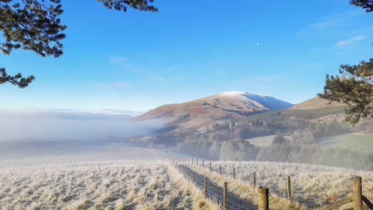 Photo of Others in Dollar