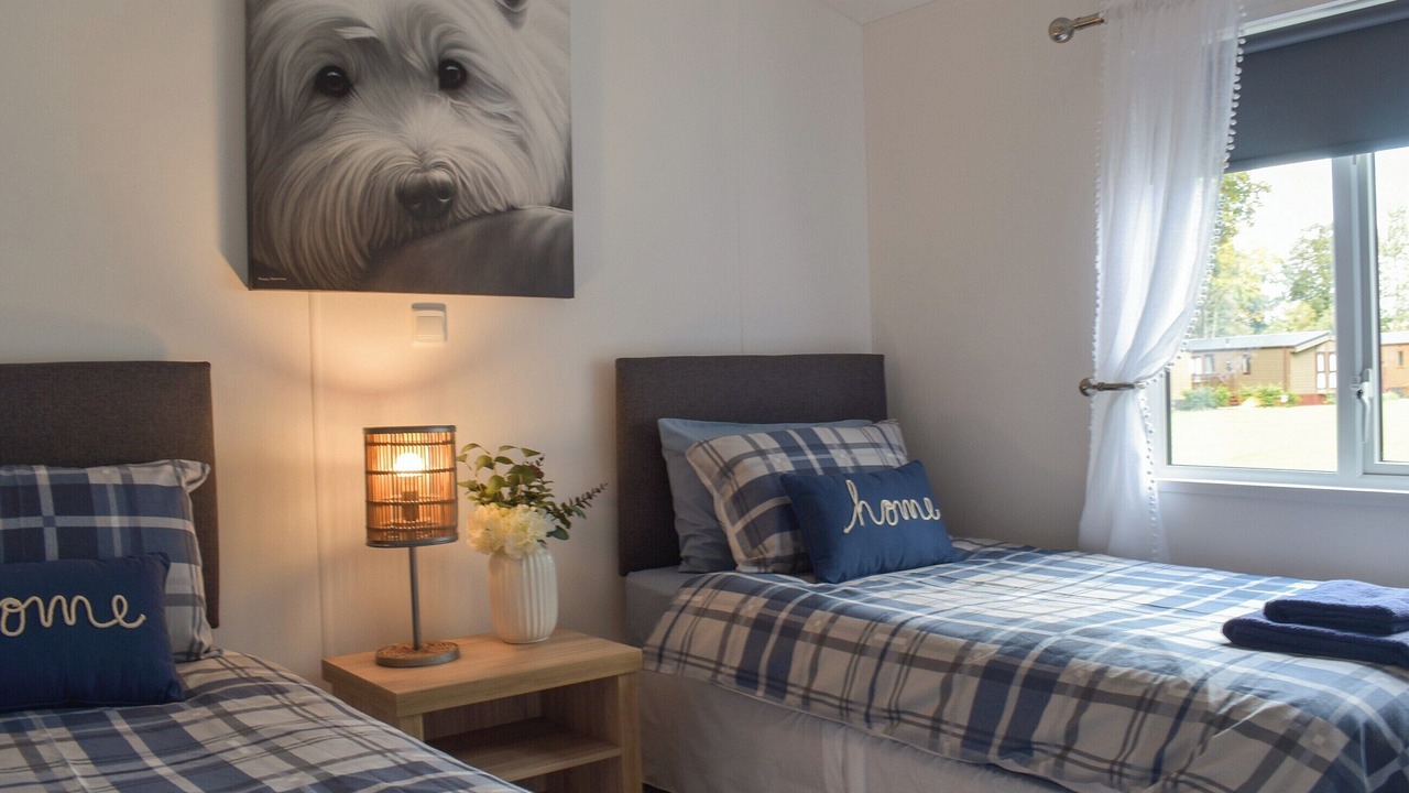 Photo of Others in Dollar